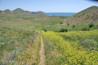 Прикрепленное изображение: IMGP6333.jpg